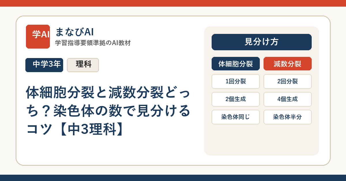 体細胞分裂と減数分裂どっち？染色体の数で見分けるコツ【中3理科】 | まなびAI