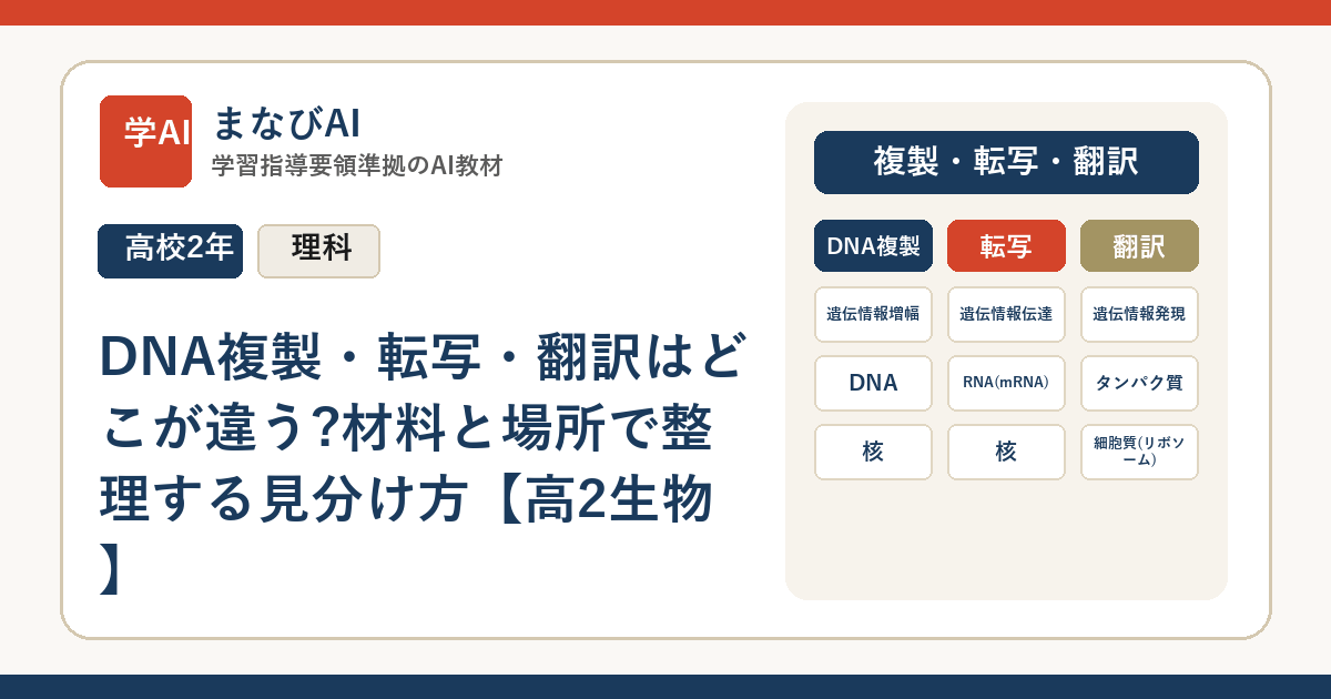 DNA複製・転写・翻訳はどこが違う?材料と場所で整理する見分け方【高2生物】 | まなびAI