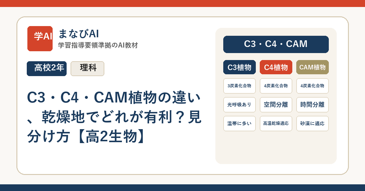 C3・C4・CAM植物の違い、乾燥地でどれが有利？見分け方【高2生物】 | まなびAI