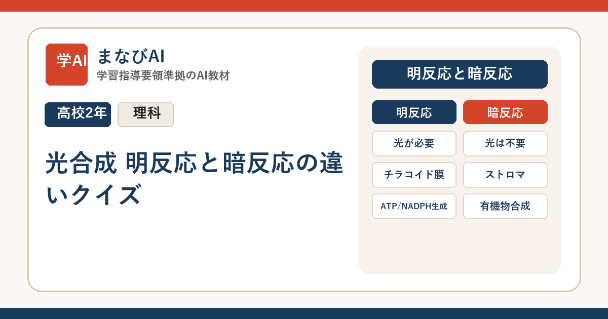 【高2生物】光合成 明反応と暗反応の違いクイズ | まなびAI