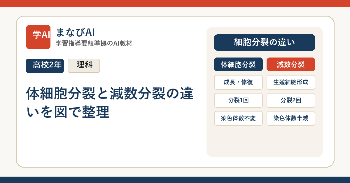 【高2生物】体細胞分裂と減数分裂の違いを図で整理 | まなびAI