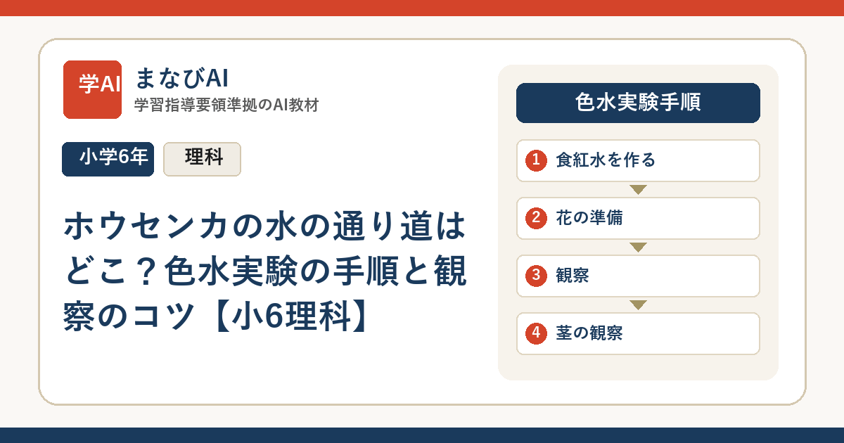 ホウセンカの水の通り道はどこ？色水実験の手順と観察のコツ【小6理科】 | まなびAI